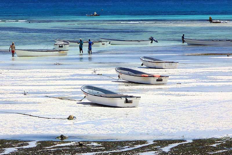 maree a zanzibar